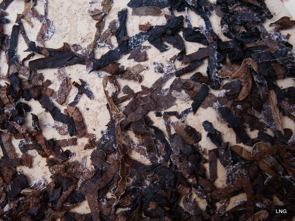 Aperitif image 2